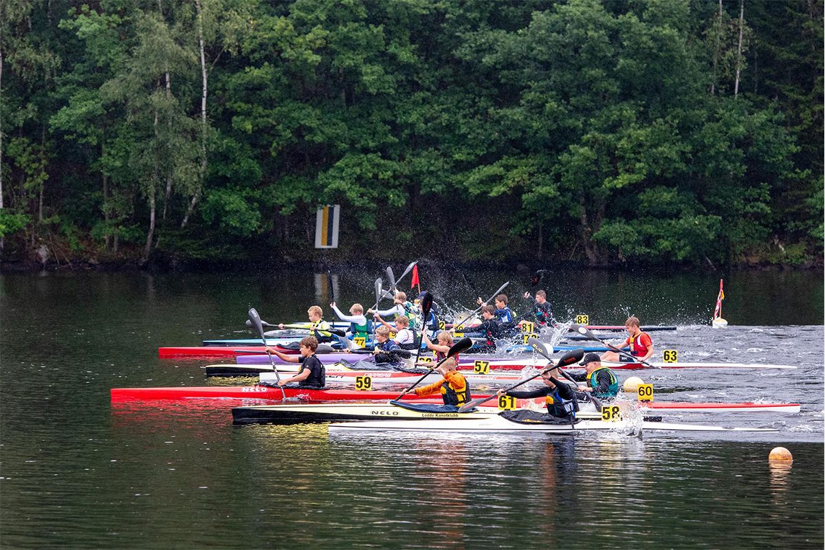 Roddare på Rögleån i Ängelholm