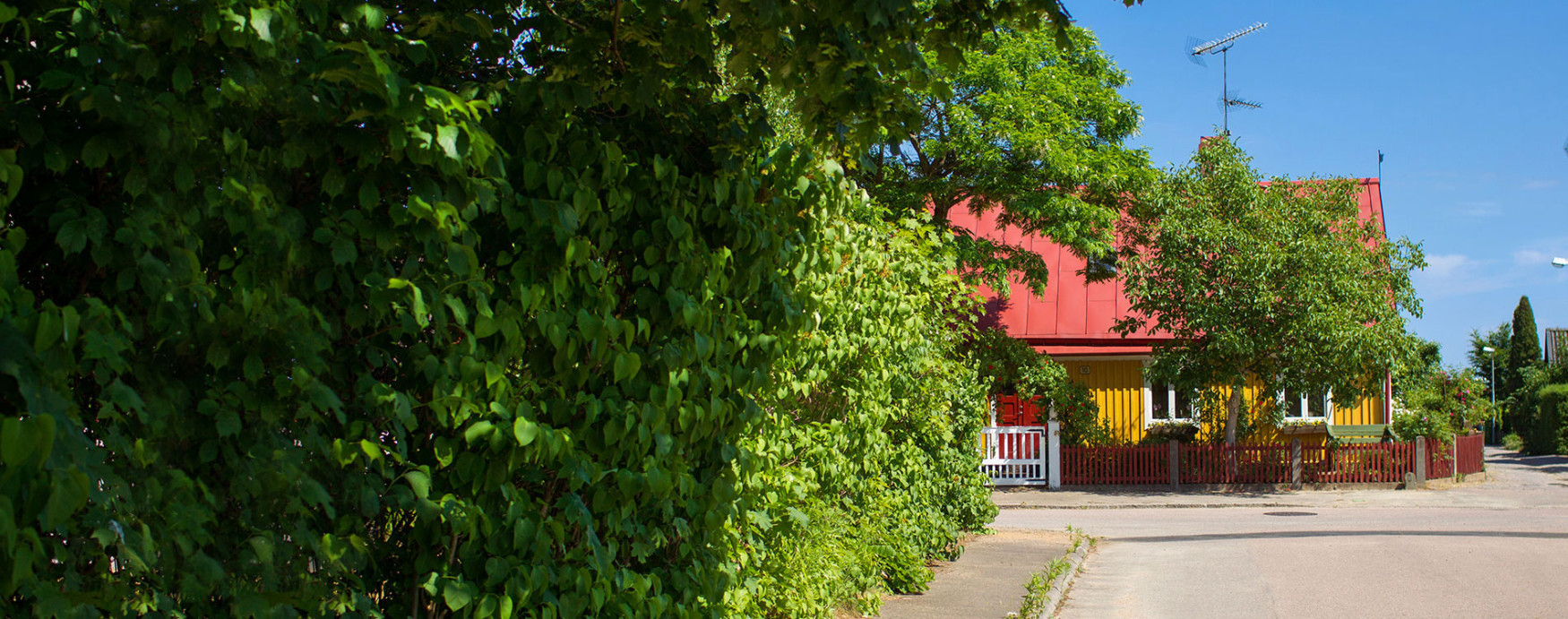 Gata med buskar och gult hus i bakgrunden