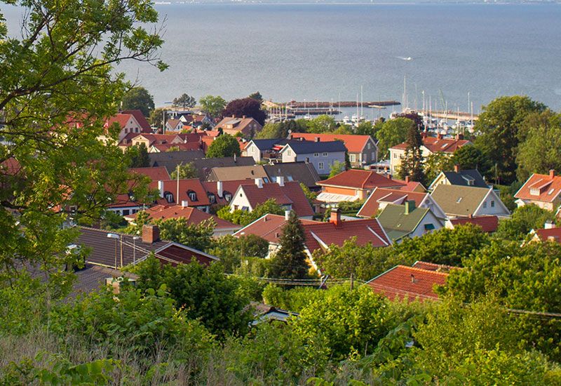 Utsikt över takåsar