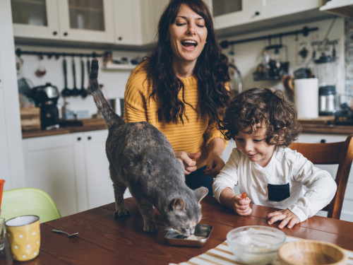 Mamma och son matar katten på köksbordet.